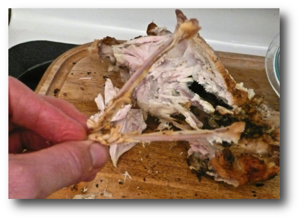 Turkey Wishbone