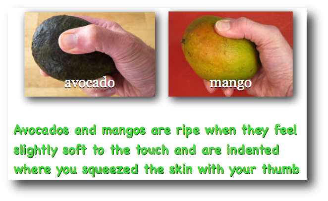 Avocado & Mango Ripeness