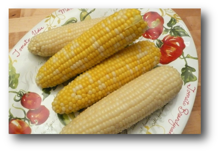 Stove Cooked Corn on the Cob: Quick, Easy, and All in Pictures | Gotta