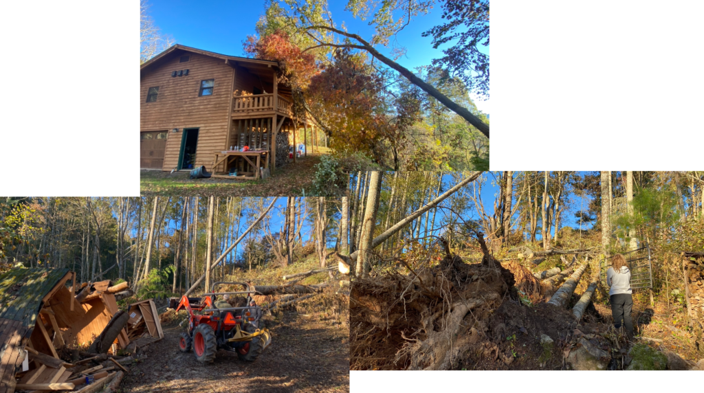 Fallen trees that surrounded and even rested on Dave and Sara's secluded Sugar Grove house