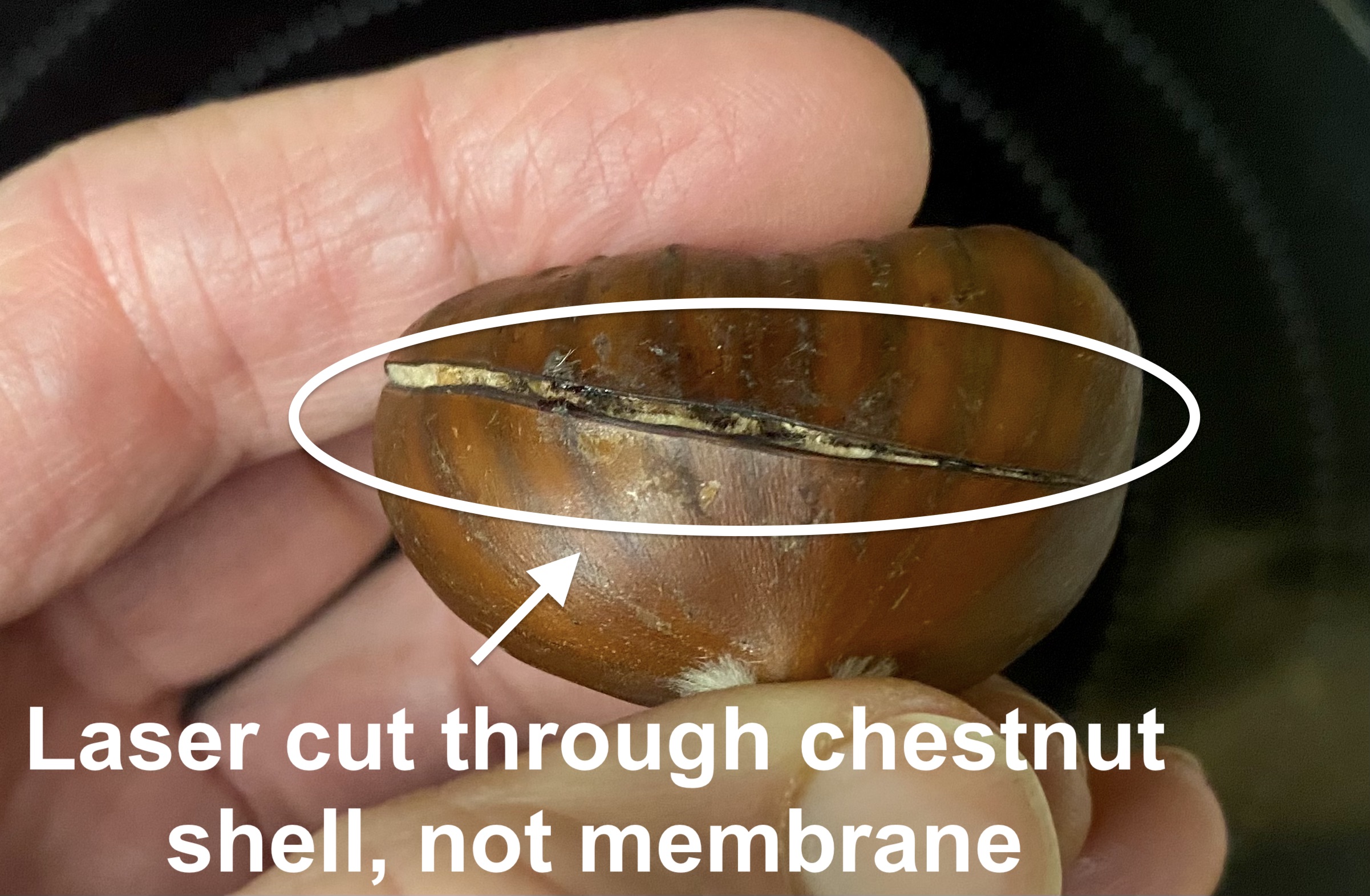 Innovative Bella Vita Laser-Cut Chestnuts - and More in 2025 - Gotta ...