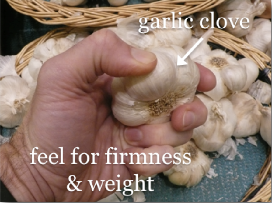 How to select a garlic bulb by weight and firmness