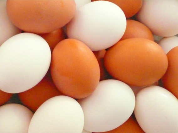 Practical Egg Guide to easy to make egg dishes