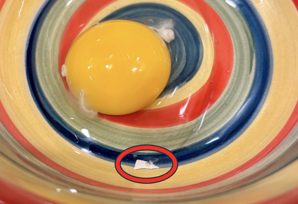 Closeup image of small piece of eggshell in a bowl with a freshly broken raw egg.